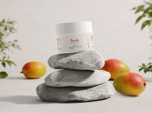 Crème à la mangue Crème à la mangue