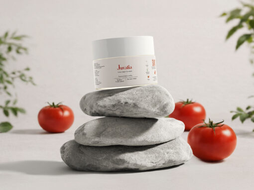 Crème à la tomate Crème à la tomate