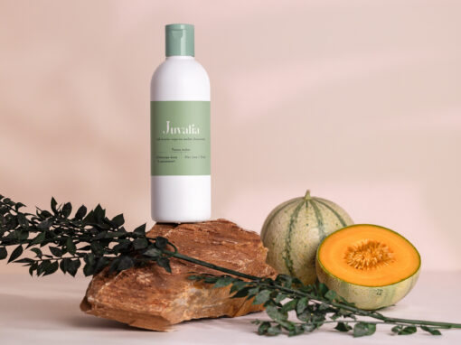 Gel douche au melon charentais Gel douche au melon charentais